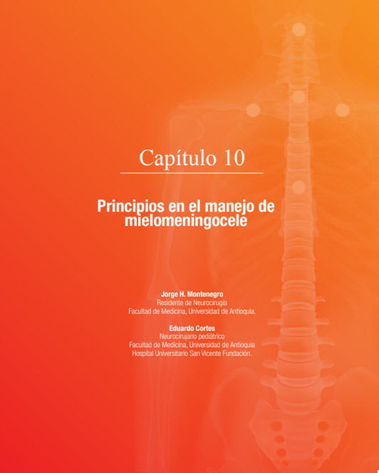 Principios en el manejo de mielomeningocele
